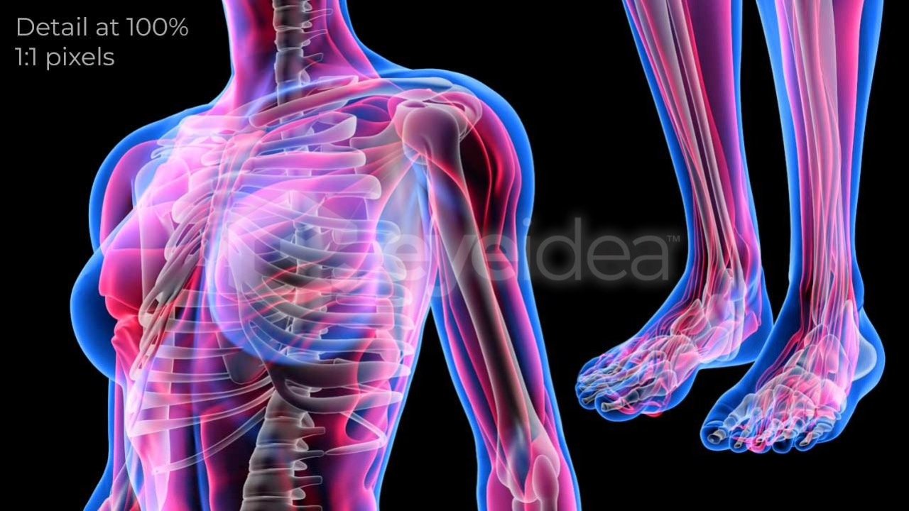Human Revealed Images Library