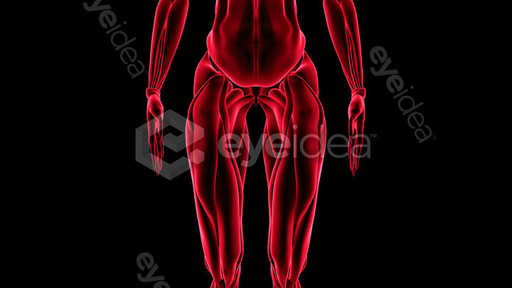 Human Revealed Images Library