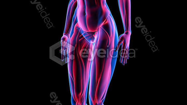 Human Revealed Images Library