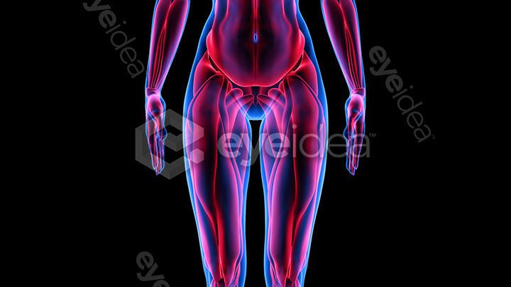 Human Revealed Images Library