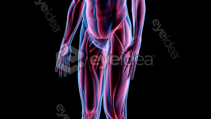 Human Revealed Images Library