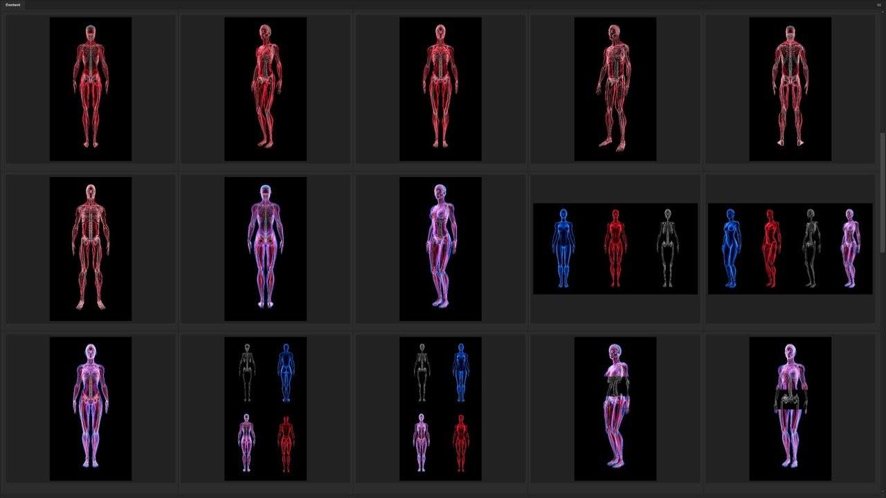 Human Revealed Images Library