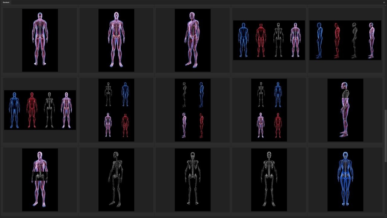 Human Revealed Images Library