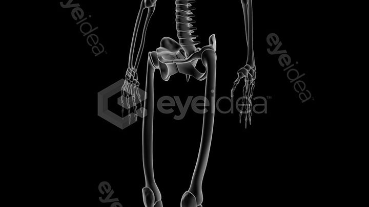 Human Revealed Images Library
