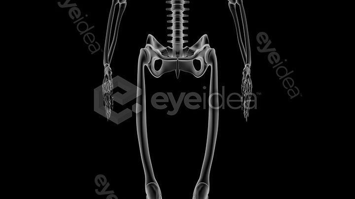 Human Revealed Images Library
