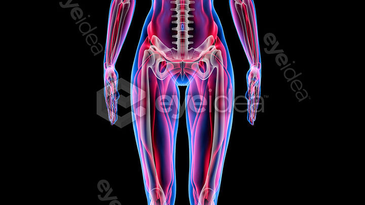 Human Revealed Images Library