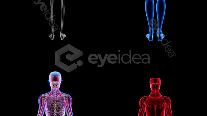 Human Revealed Images Library