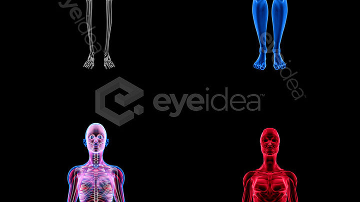 Human Revealed Images Library