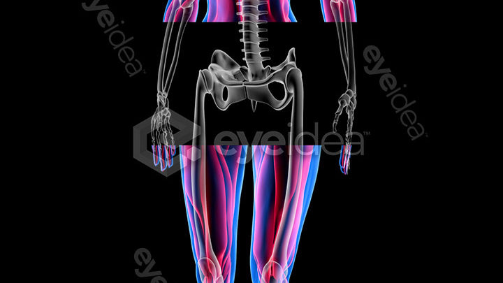 Human Revealed Images Library