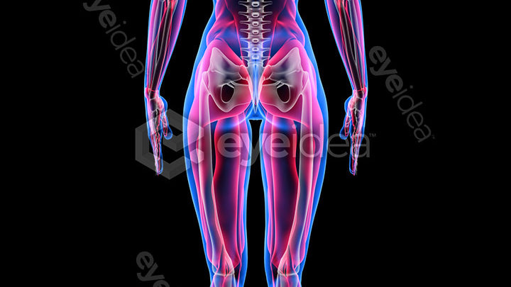 Human Revealed Images Library