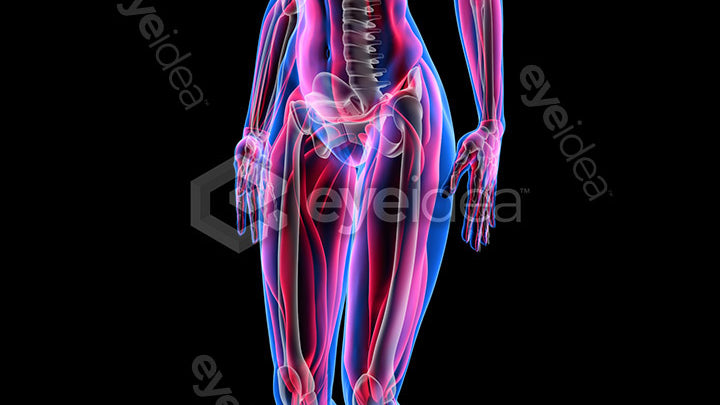 Human Revealed Images Library