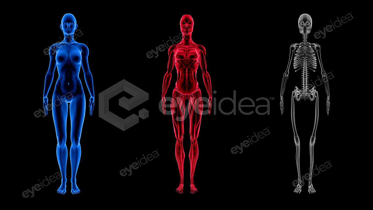 Human Revealed Images Library