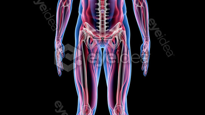 Human Revealed Images Library