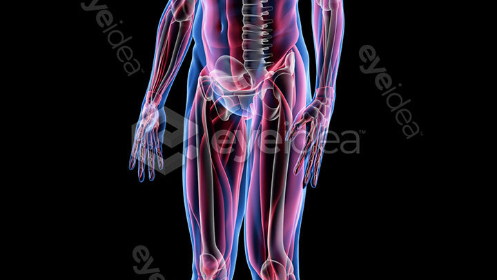 Human Revealed Images Library