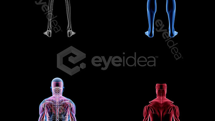 Human Revealed Images Library