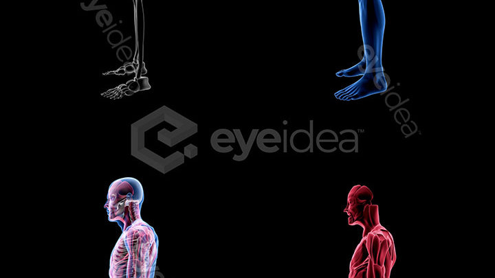 Human Revealed Images Library