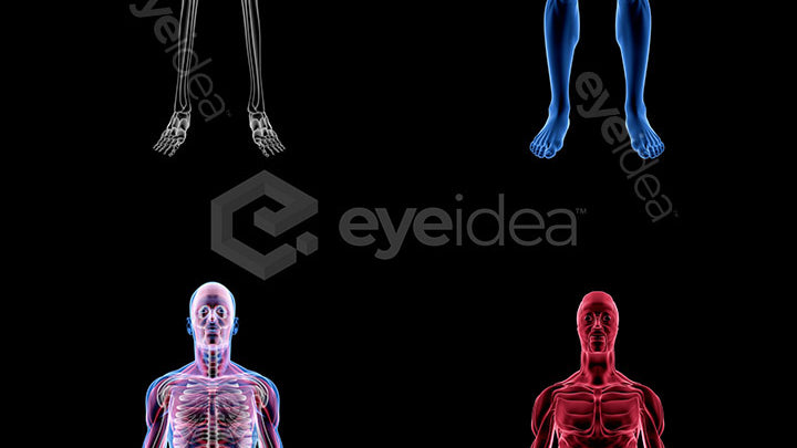 Human Revealed Images Library