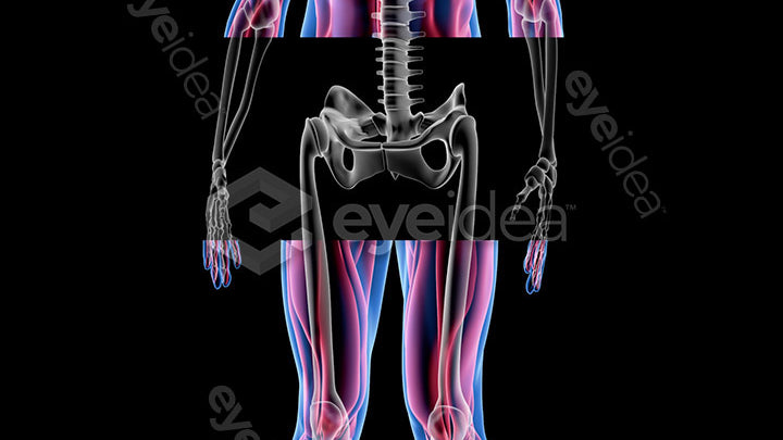 Human Revealed Images Library