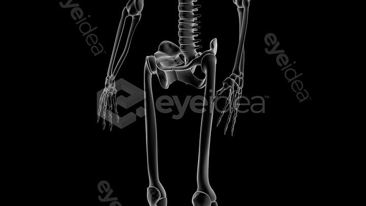 Human Revealed Images Library