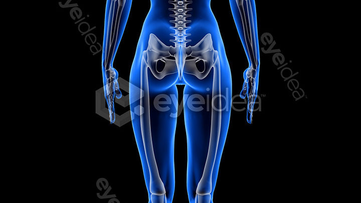 Human Revealed Images Library