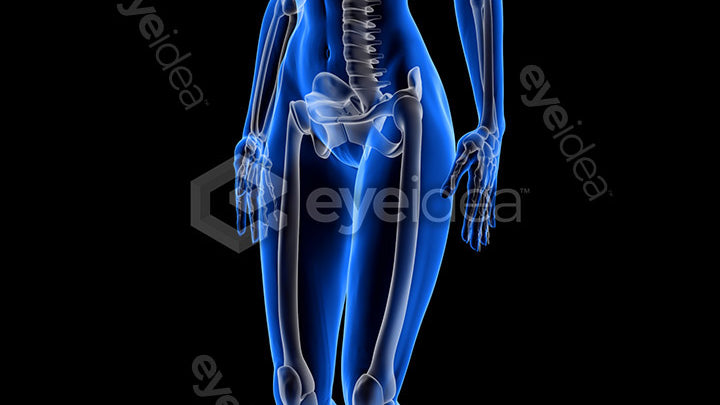 Human Revealed Images Library