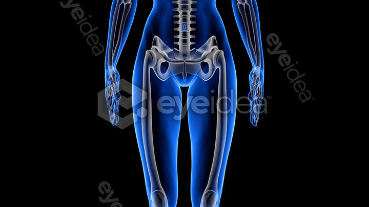 Human Revealed Images Library