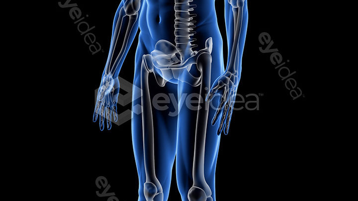 Human Revealed Images Library