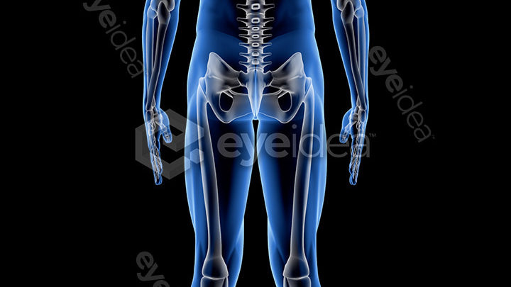 Human Revealed Images Library
