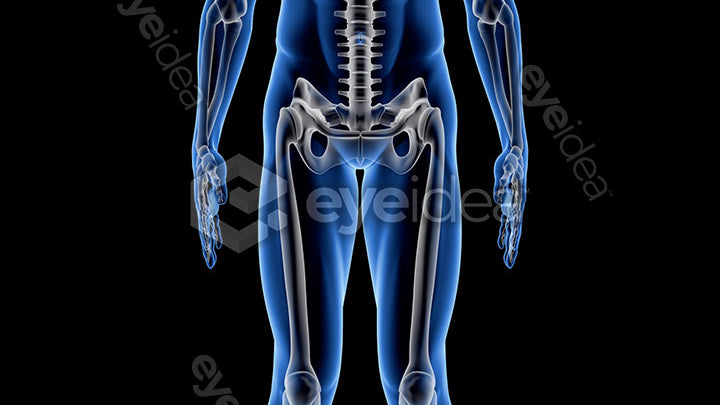 Human Revealed Images Library