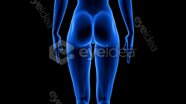 Human Revealed Images Library