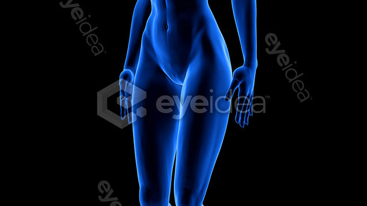 Human Revealed Images Library