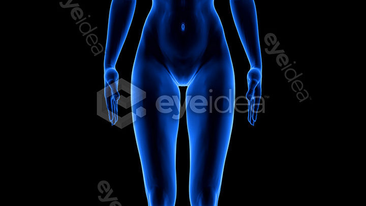 Human Revealed Images Library