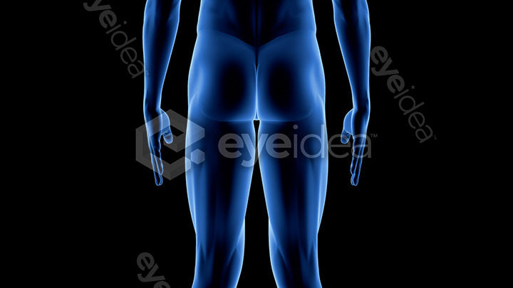 Human Revealed Images Library