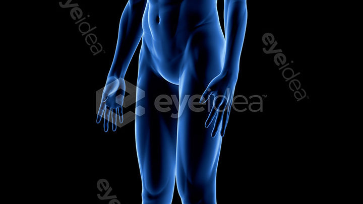 Human Revealed Images Library