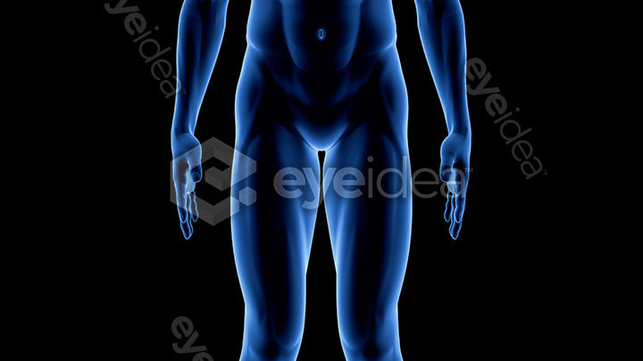 Human Revealed Images Library