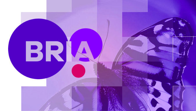 Partnering with BRIA.ai: Ethical A.I.