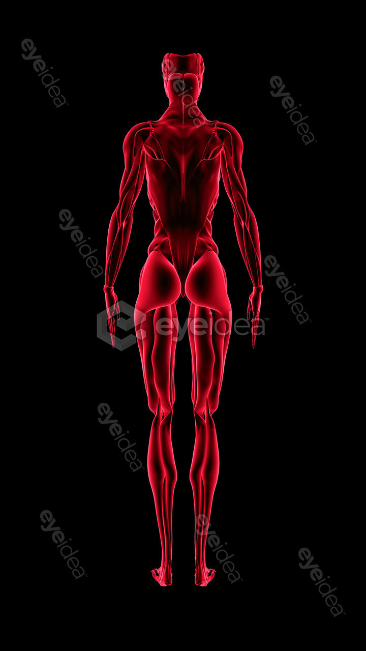 Human Revealed Images Library