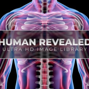 Human Revealed ยป 56 Stock Images Pack V.1