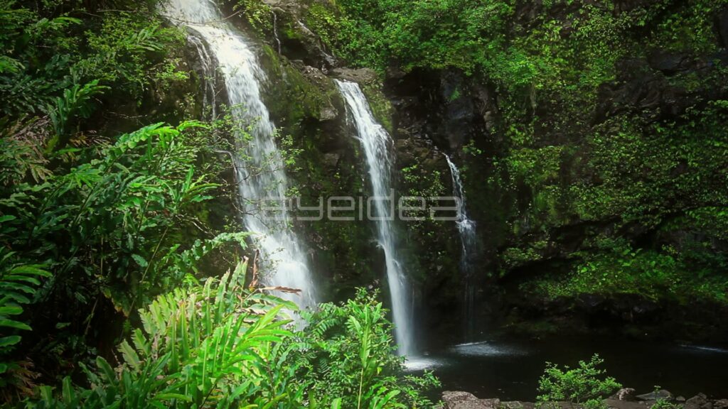 Twin Waterfalls Falling into Shaded Jungle Pool