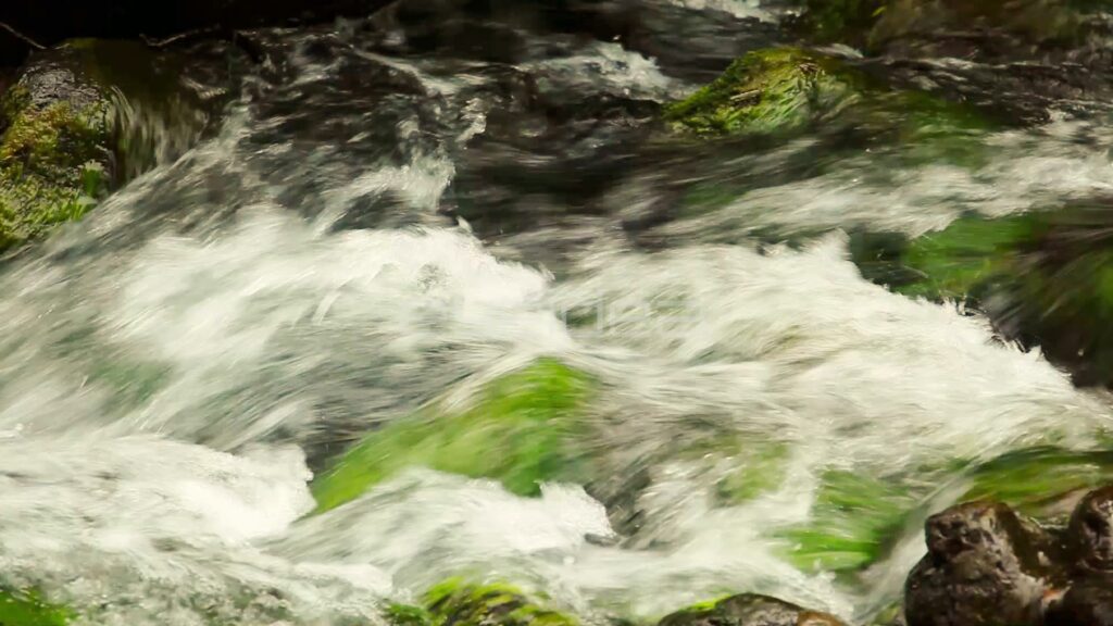 Close-up of White Water Rushing over Mossy Creek Rocks