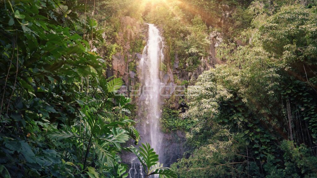 Slender Waterfall Framed by Jungle Leaves Under Sun Flare