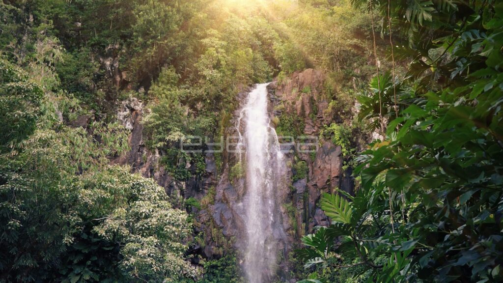 Distant Waterfall in Wide Jungle View with Sunbeams