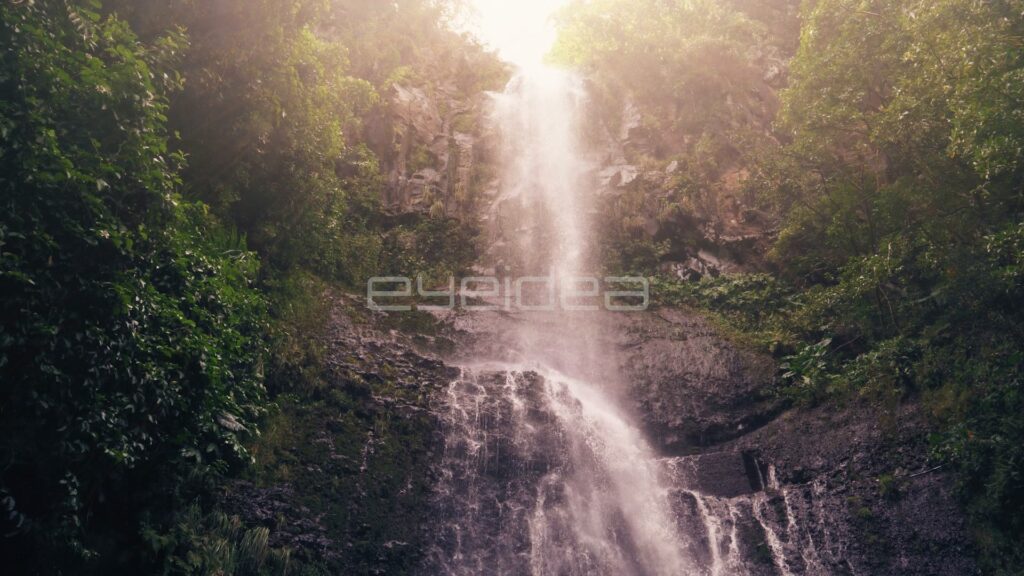 Backlit Waterfall Glowing in Misty Jungle Light