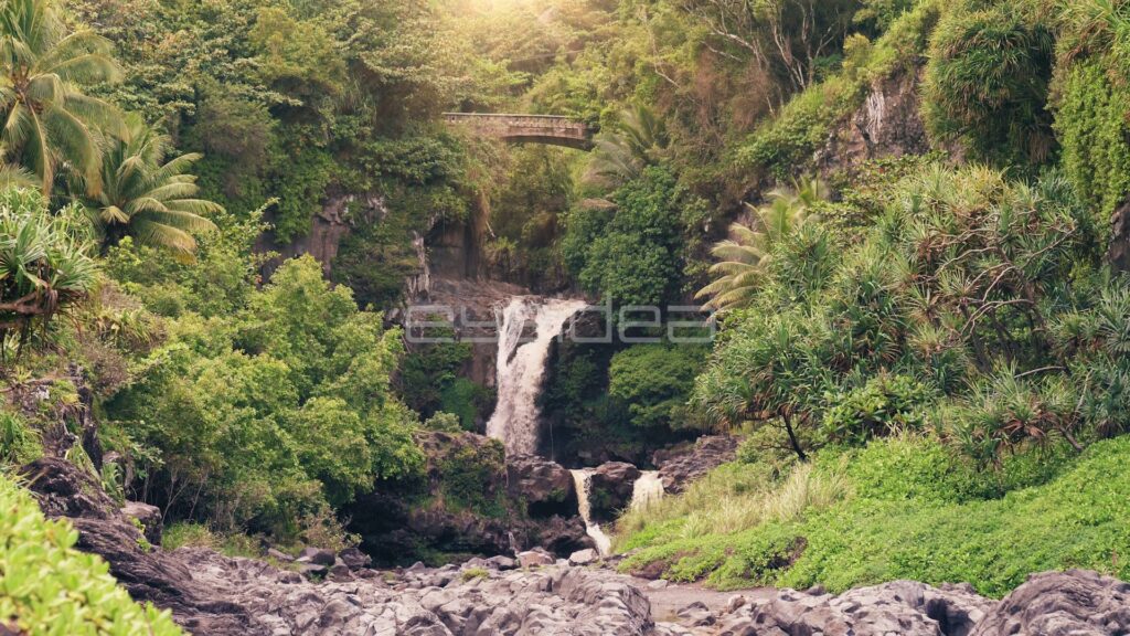 Tiered Waterfall Below Footbridge in Jungle Gorge
