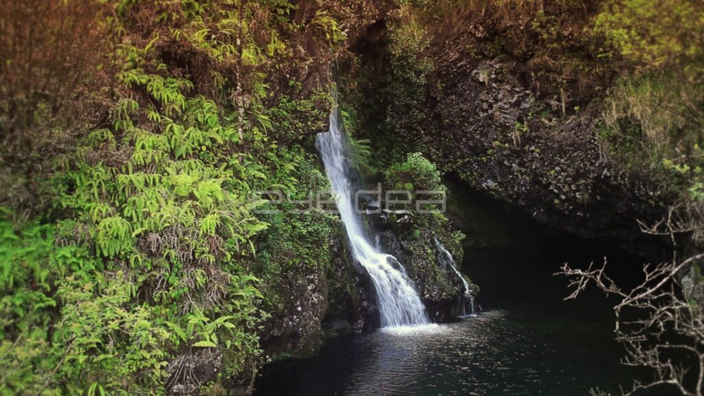 Small Waterfall Pouring into Dark Gorge Pool