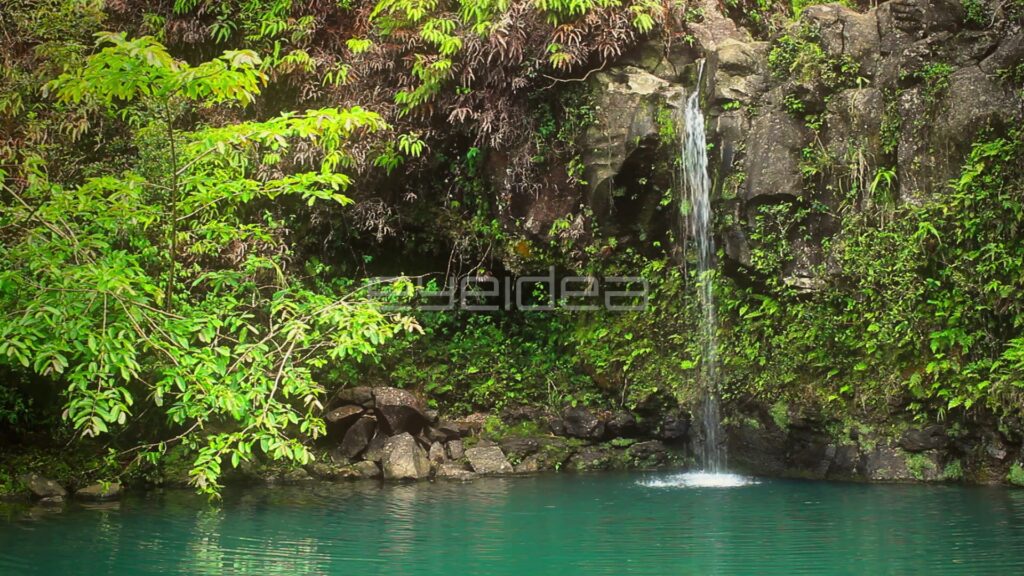 Thin Waterfall into Turquoise Pool Below Fern-Covered Cliff