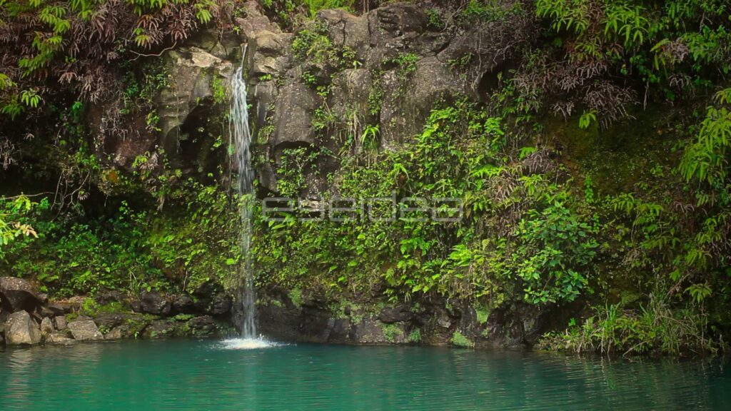 Thin Waterfall Trickling into Calm Turquoise Jungle Pool