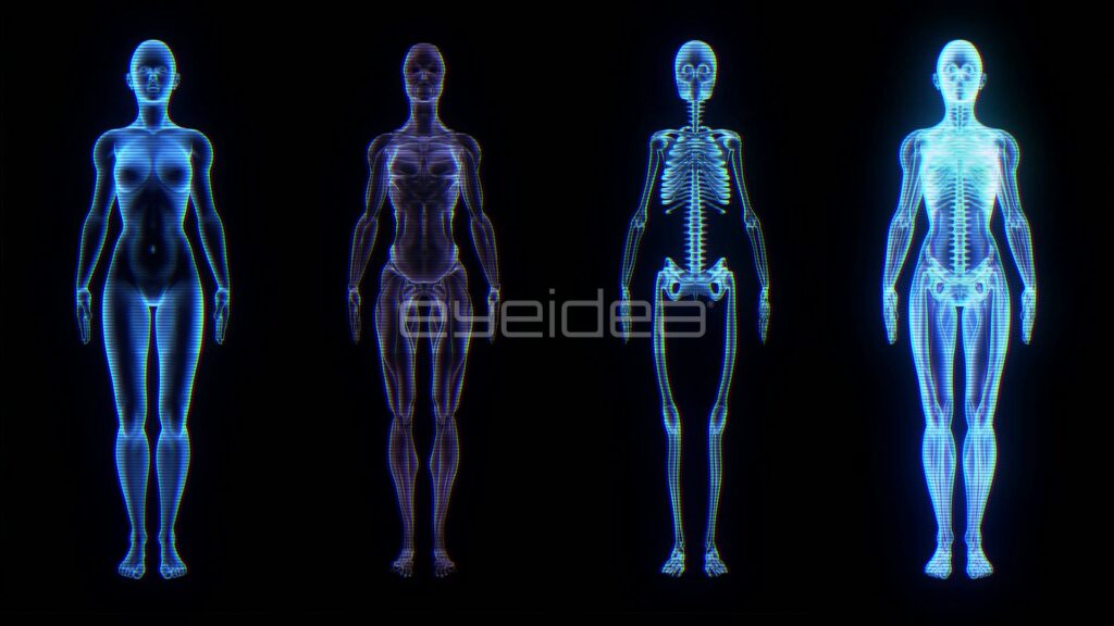 Four Female Anatomy Layers as Glowing Blue Holograms