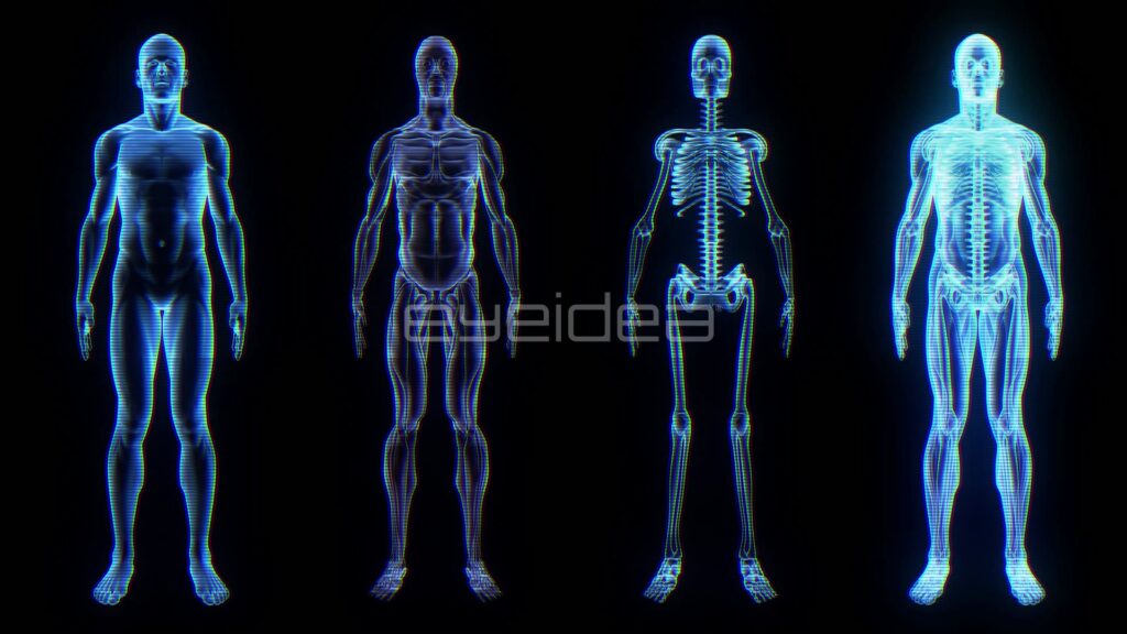 Four Male Anatomy Layers as Glowing Blue Holograms