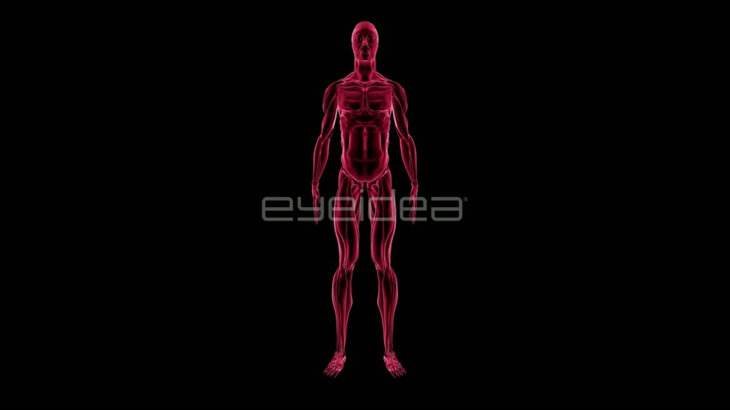 Red Male Muscle Figure Turning on Black
